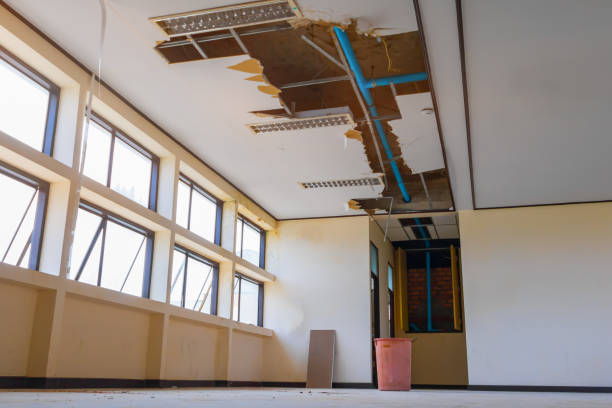 Best 24-hour water damage restoration  in Mattoon, IL