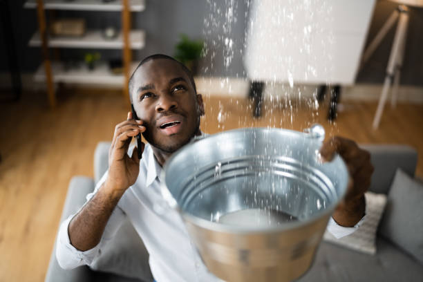 Best Water damage cleanup near me  in Mattoon, IL