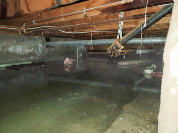 Best Sewage cleanup and water damage restoration  in Mattoon, IL
