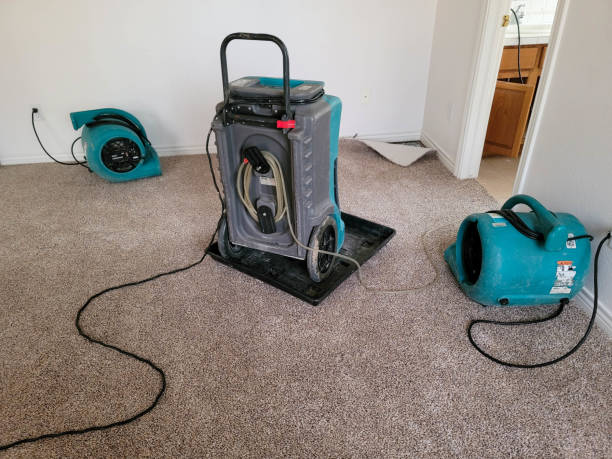  Mattoon, IL Water damage restoration Pros