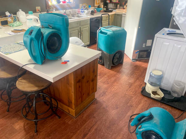 Best Residential water damage restoration  in Mattoon, IL