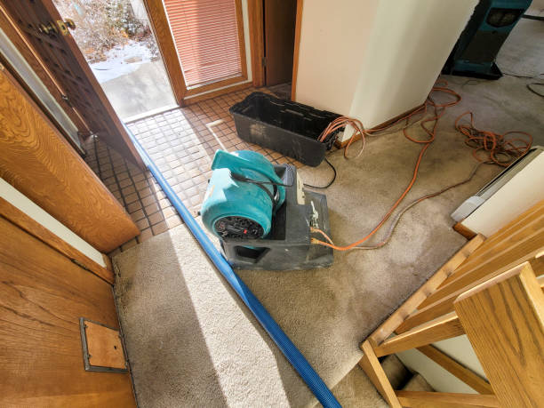 Best Professional water damage repair  in Mattoon, IL