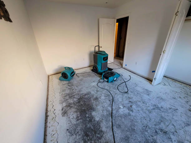 Reliable Mattoon, IL Water damage restoration Solutions