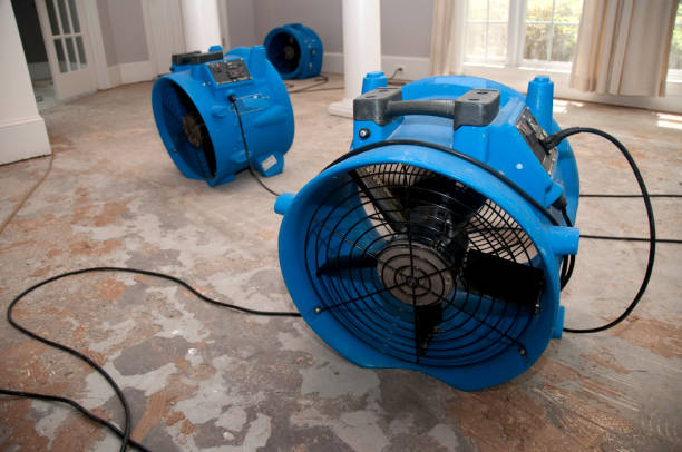 Best Water damage mitigation services  in Mattoon, IL