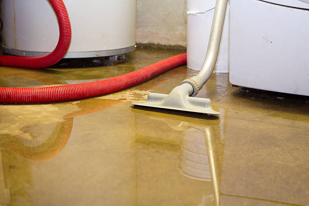 Best Commercial water damage restoration  in Mattoon, IL