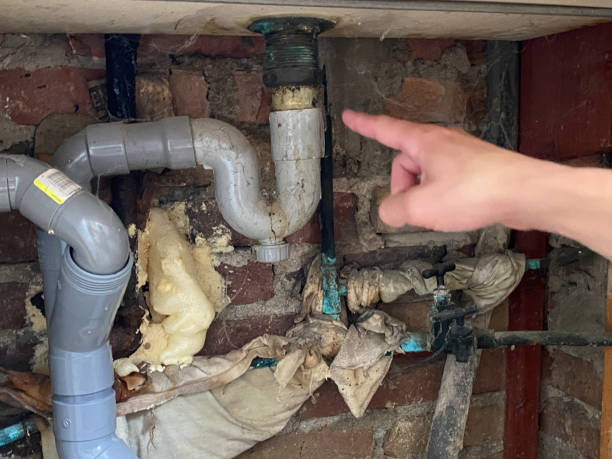 Best Carpet water damage restoration  in Mattoon, IL