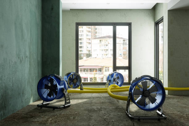 Best Fire Damage Restoration  in Mattoon, IL